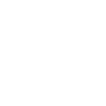 Weiße Schneeflocke